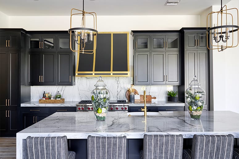 Dark Cabinetry Remodel